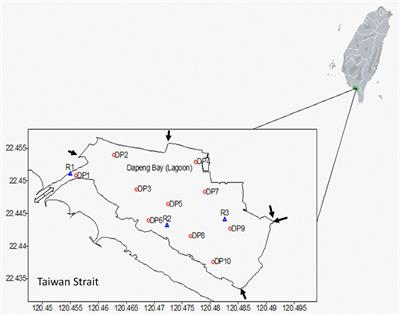 Developing a Real-Time Trophic State Index of a Seawater Lagoon: A Case Study From Dapeng Bay, Southern Taiwan